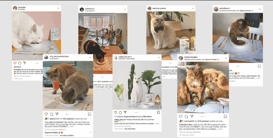 marketing strategy of purina - marketing campaign 