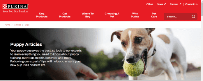 marketing strategy of purina - content marketing 