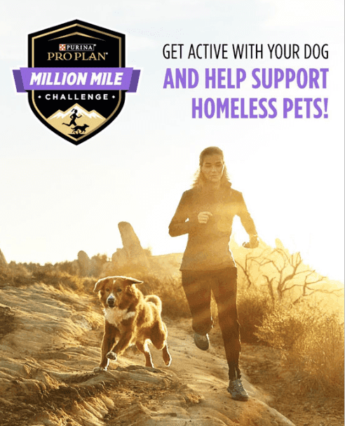 marketing strategy of purina - marketing campaign 