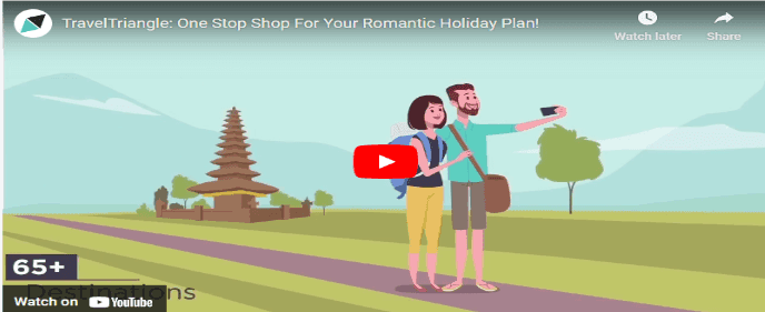 marketing strategy of traveltriangle - marketing campaigns