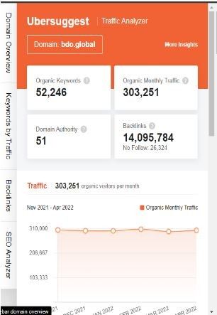 Marketing Strategy of BDO Global - SEO