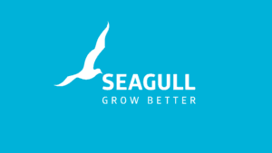 digital marketing agencies in pune - seagull logo