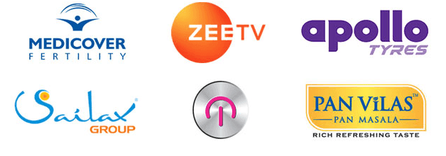 SEO Agencies in Delhi - Digipanda Clients