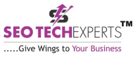 SEO Agencies in Gurgaon - SEO Tech Experts Logo