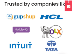 SEO Agencies in Mumbai - Page Traffic Clients