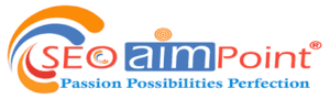 SEO Courses in Mandsaur - SEO Aim Point logo