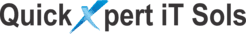 SEO Courses in Chhapra - QuickXpert Infotech Logo