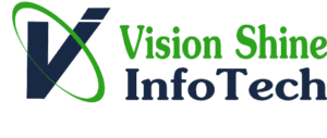 SEO Courses in Barsi - Vision Shine Info Tech Logo