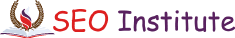 SEO Courses in Karol Bagh - SEO Institute Logo