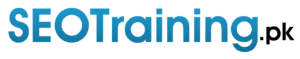 SEO Courses in Ahmedpur East - SEOTraining.pk Logo