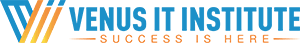 SEO Courses in Kushtia - Venus IT Institute Logo