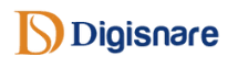 SEO Courses in Raichur - Digisnare logo