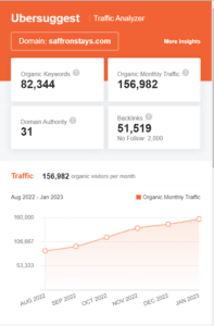 Marketing strategy of Saffronstays - SEO Strategies