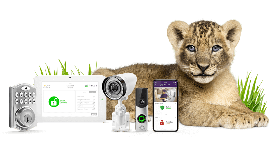 SWOT Analysis of Telus - Telus Smart Home Secruity