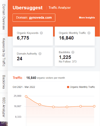 Marketing Strategy of Gynoveda - SEO