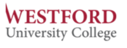 MBA In Digital Marketing In Uae